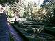  le parc. (c) Christophe ANTOINE
400*300 pixels (33980 octets)(i1960)