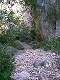 Les gorges du Destel (c) Christophe ANTOINE
300*400 pixels (36400 octets)(i248)