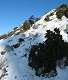 Retour dans le Garagai. La neige au sommet de la Ste Victoire. (c) Christophe ANTOINE
428*500 pixels (29197 octets)(i2752)