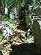  sentier des fées dans les bois de Païolive. (c) Christophe ANTOINE
375*500 pixels (47246 octets)(i2040)