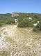  Paysage de garrigue en montant vers la falaise de Lioux. (c) Christophe ANTOINE
262*350 pixels (23462 octets)(i677)