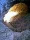  Echelles aménagées pour traverser la grotte. (c) Christophe ANTOINE
300*400 pixels (27274 octets)(i1018)