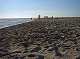  Plage d'Arles. Du monde même au mois de mars quand il fait beau. (c) Christophe ANTOINE
350*262 pixels (18607 octets)(i887)